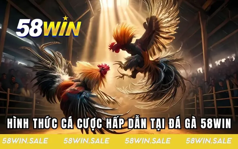 Hình thức cá cược đá gà hấp dẫn tại 58WIN