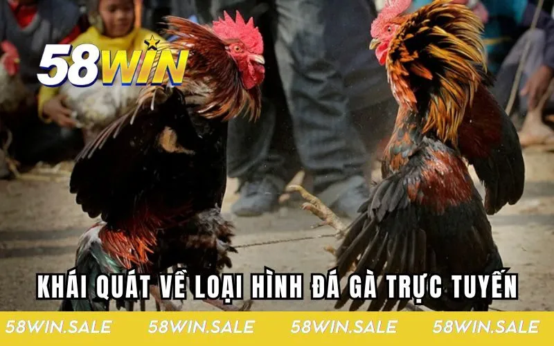 Khái quát về loại hình đá gà trực tuyến siêu hấp dẫn